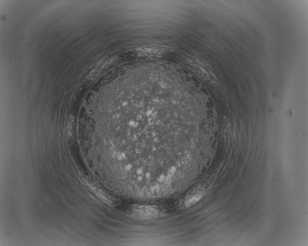 X0000084530649200703091629