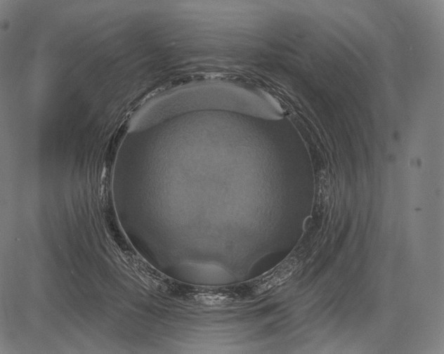 X0000084530650200703091629