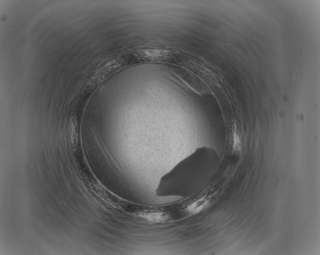 X0000084530651200703091629