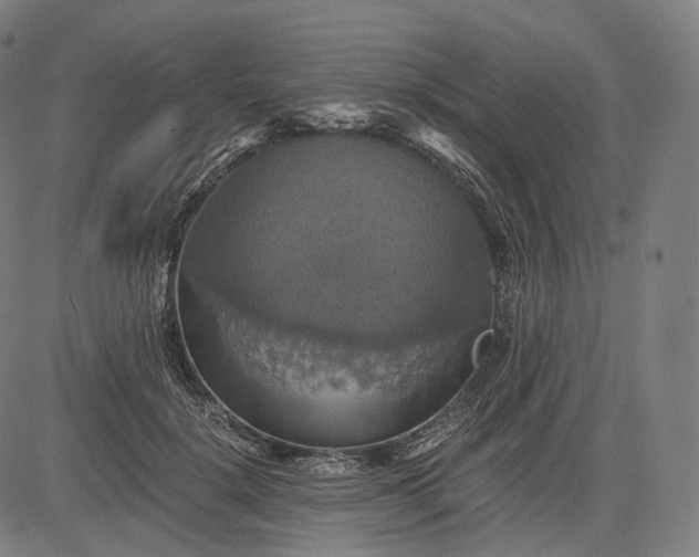 X0000084530652200703091629