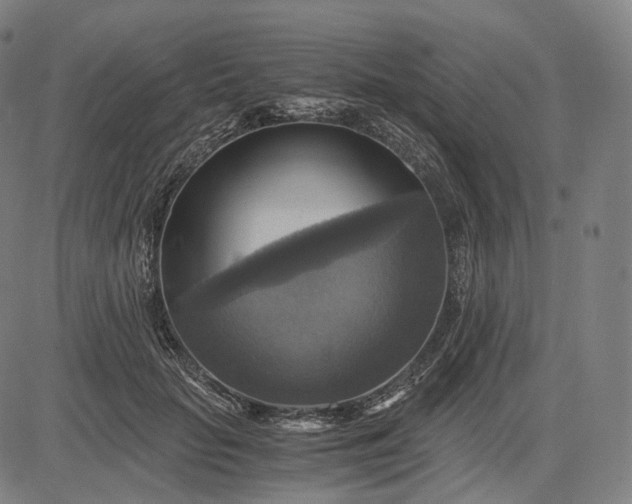 X0000084530653200703091629