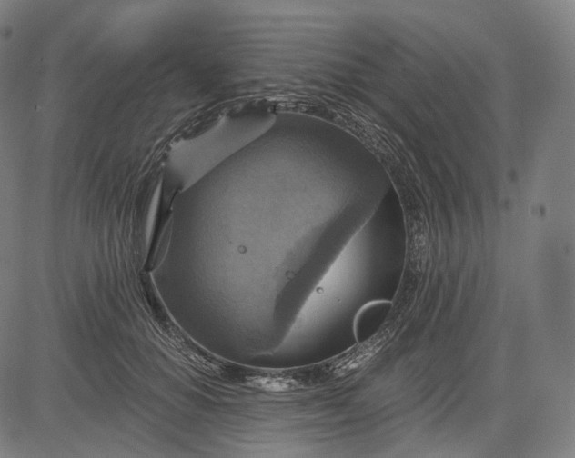 X0000084530654200703091629