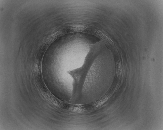 X0000084530655200703091629