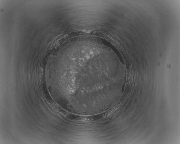 X0000084530656200703091629