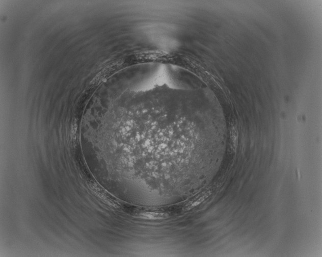 X0000084530657200703091629