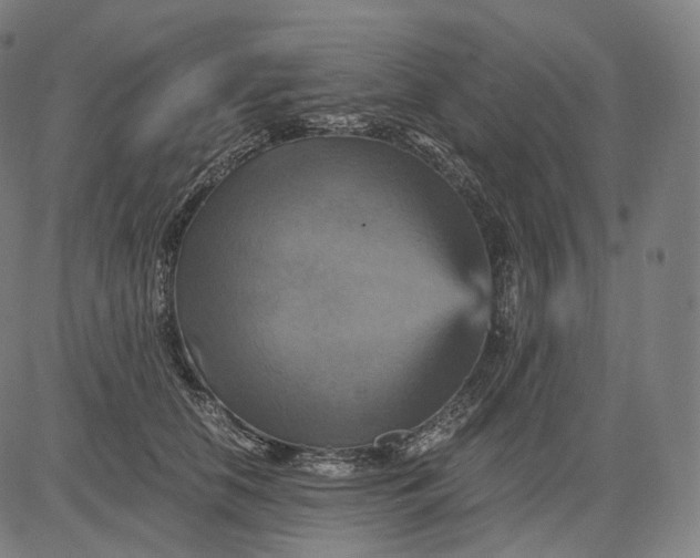 X0000084530658200703091629