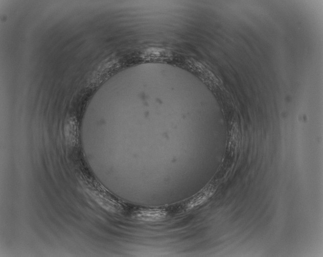 X0000084530659200703091629