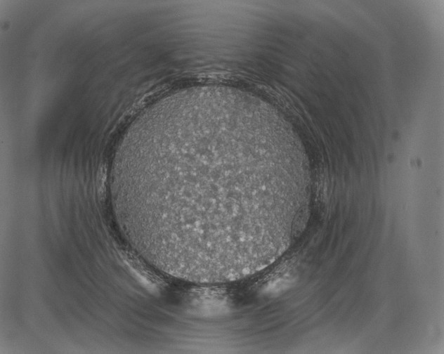 X0000084530660200703091629