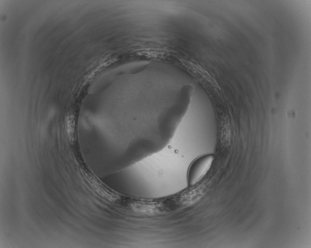 X0000084530661200703091629