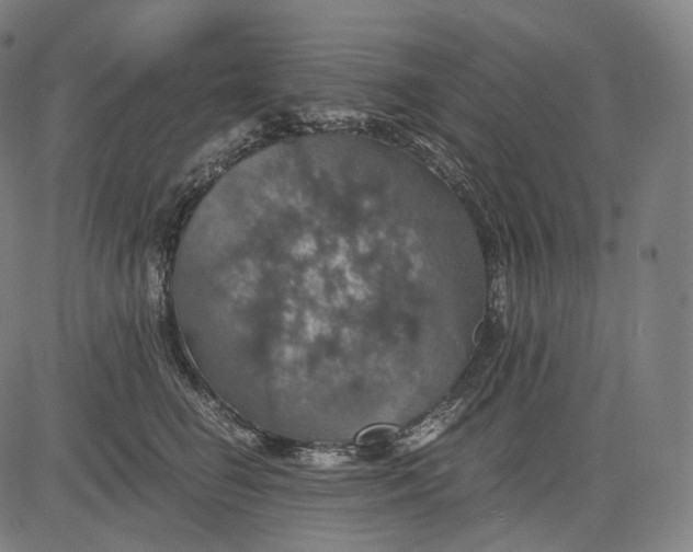 X0000084530662200703091629