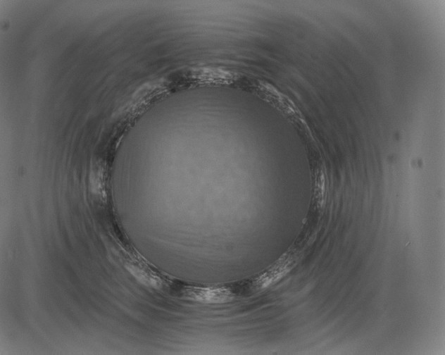 X0000084530663200703091629