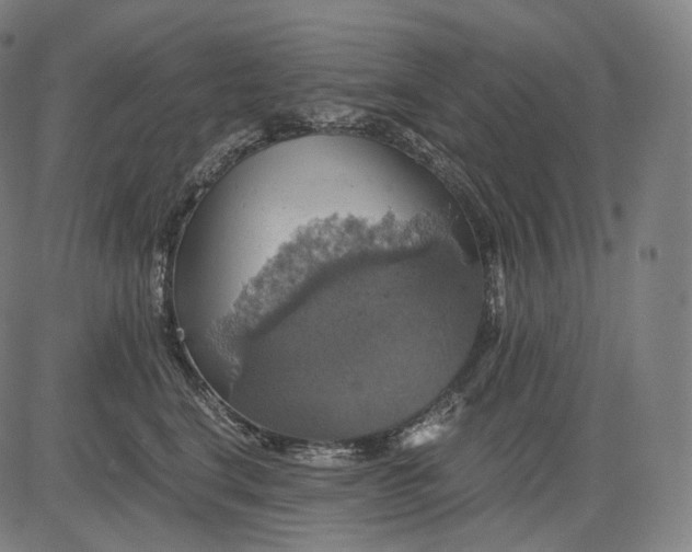 X0000084530664200703091629