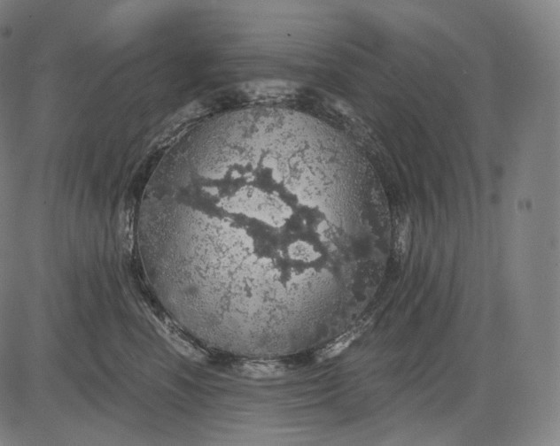 X0000084530666200703091629