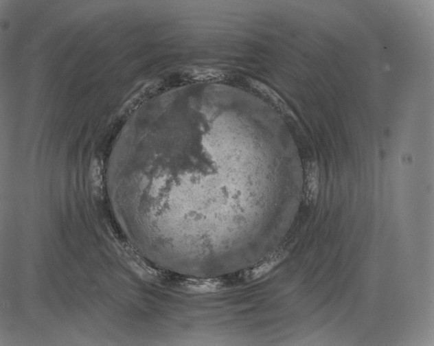 X0000084530667200703091629