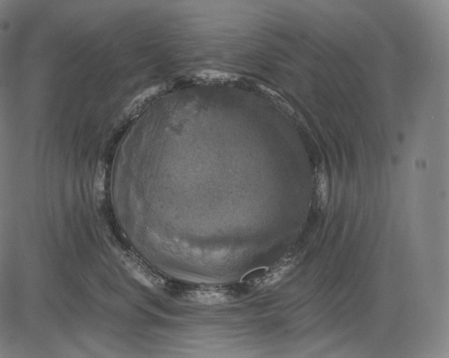 X0000084530668200703091629