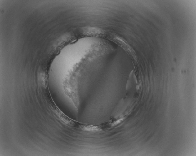 X0000084530669200703091629