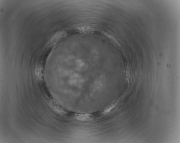 X0000084530671200703091629