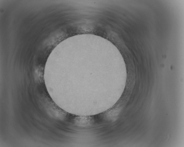 X0000084530672200703091629