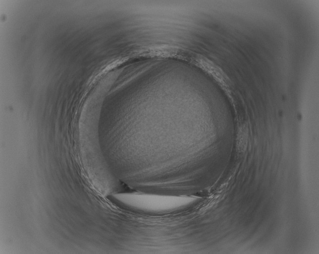 X0000084530673200703091629