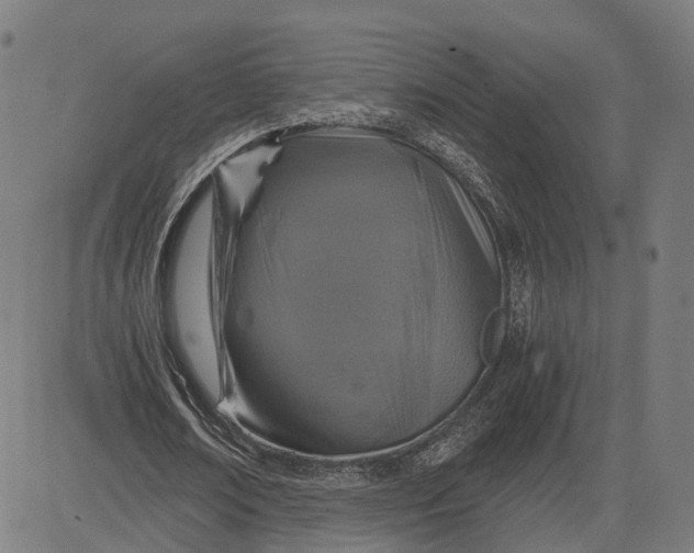 X0000084530674200703091629