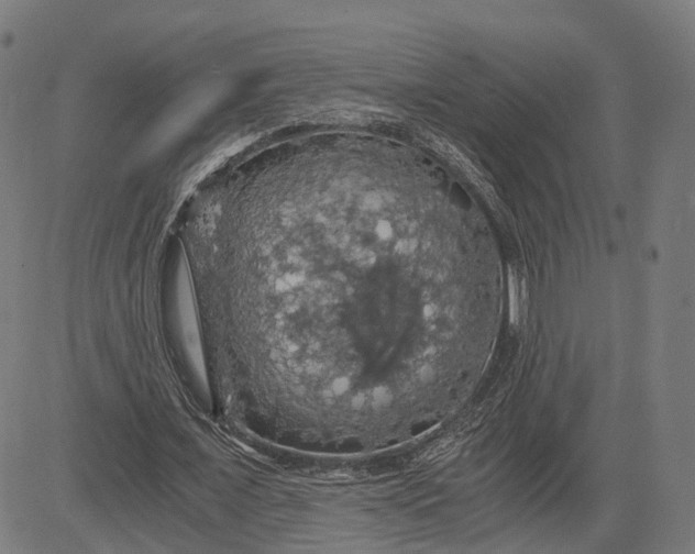 X0000084530675200703091629