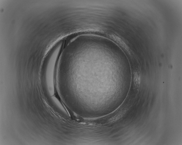 X0000084530676200703091628