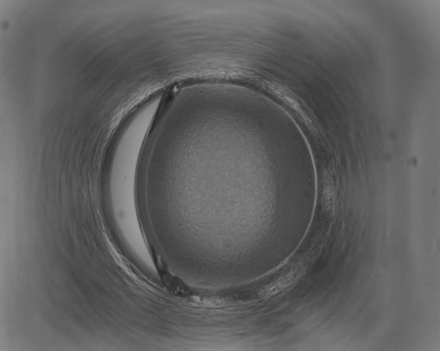 X0000084530677200703091628