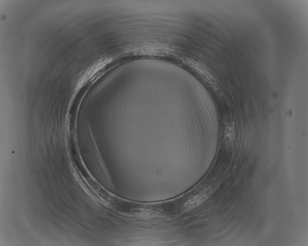 X0000084530678200703091628