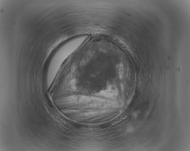 X0000084530679200703091628