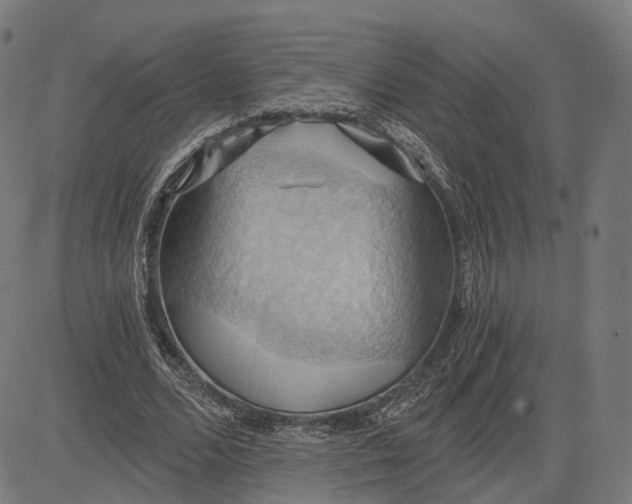 X0000084530680200703091628