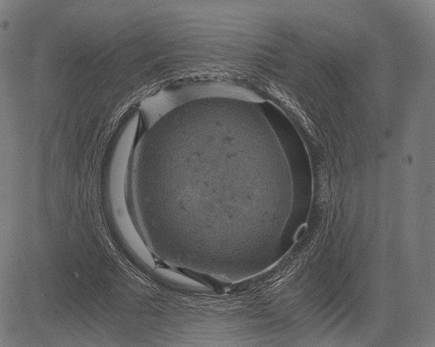 X0000084530681200703091628