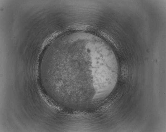 X0000084530682200703091628