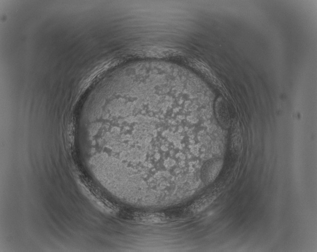 X0000084530683200703091628