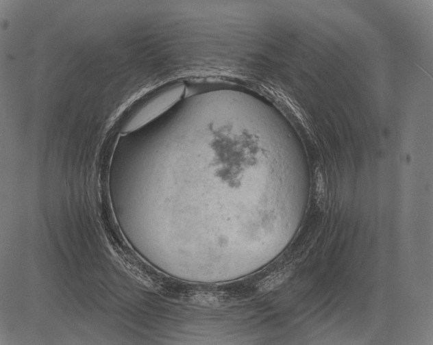 X0000084530684200703091628