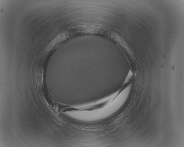 X0000084530685200703091628