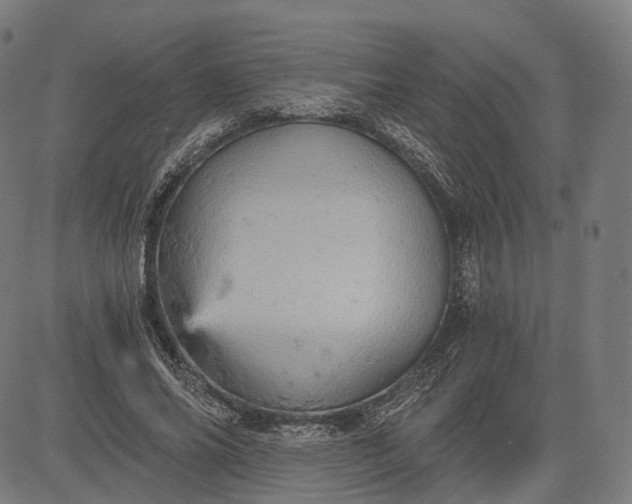 X0000084530686200703091628