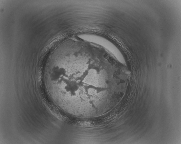 X0000084530687200703091628