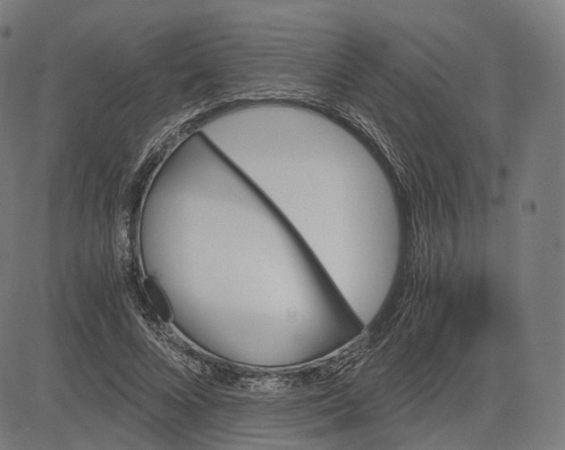 X0000084530688200703091628