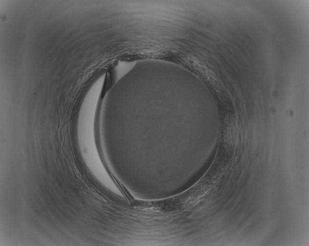 X0000084530689200703091628