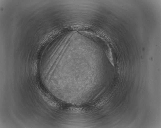 X0000084530690200703091628