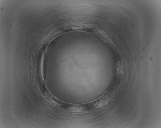 X0000084530691200703091628