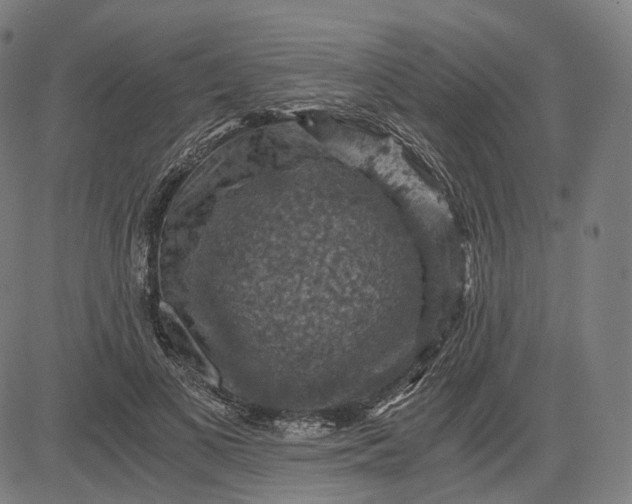 X0000084530693200703091628