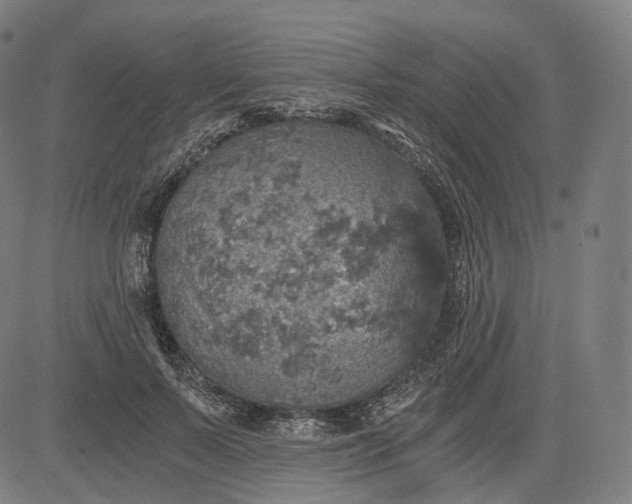 X0000084530695200703091628