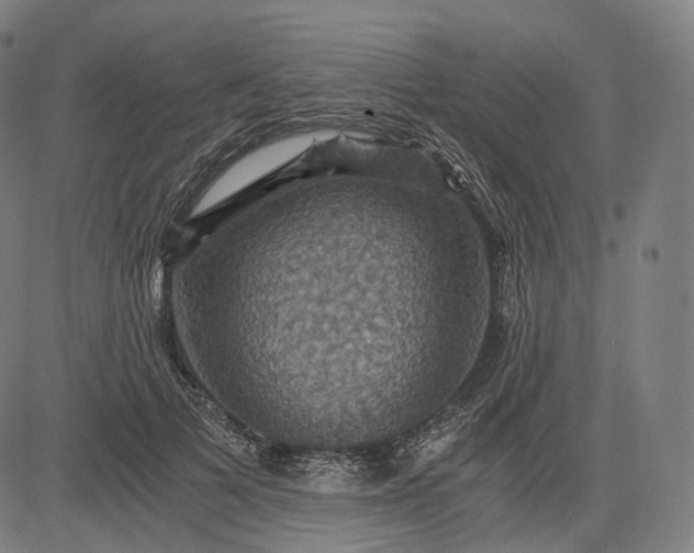 X0000084530697200703091628