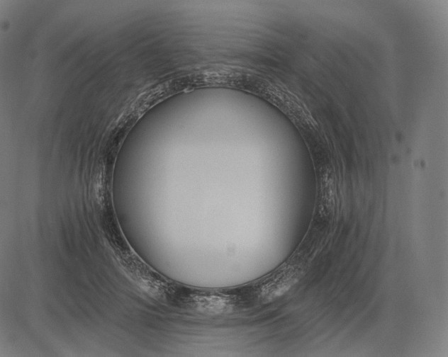 X0000084530698200703091628