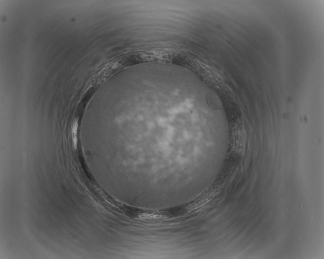 X0000084530699200703091628