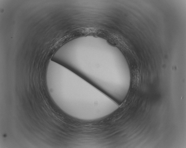 X0000084530700200703091628