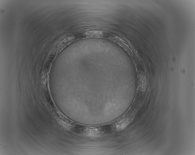 X0000084530701200703091628