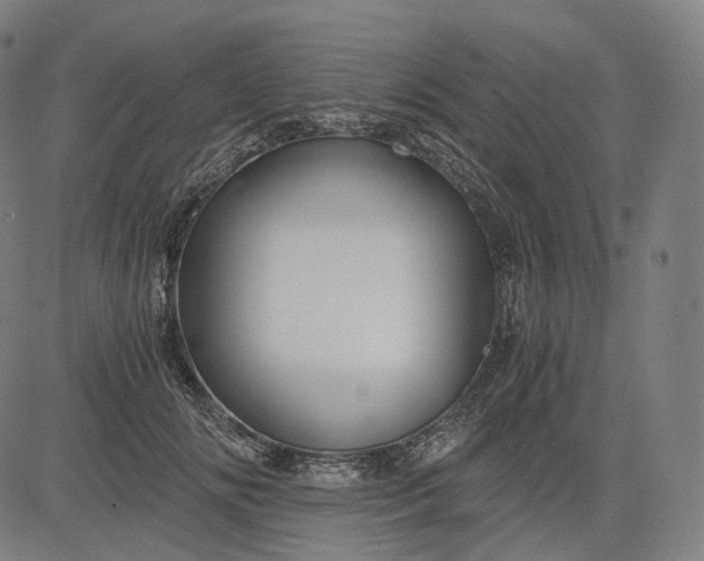 X0000084530702200703091628