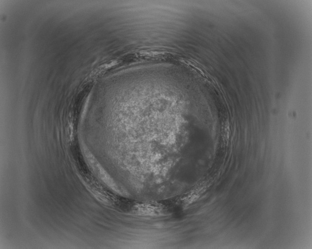 X0000084530703200703091628